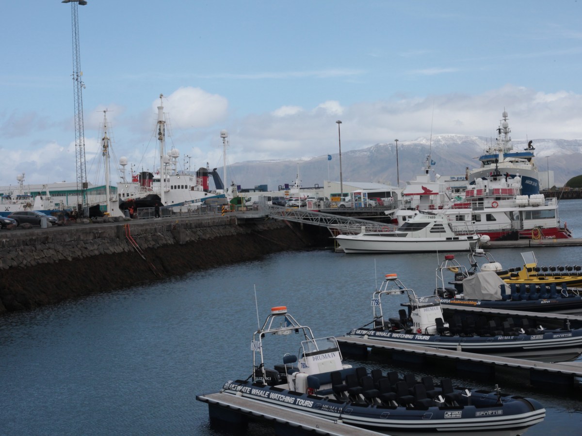 Shifting tides: The changing face of the North Atlantic’s whaling war 